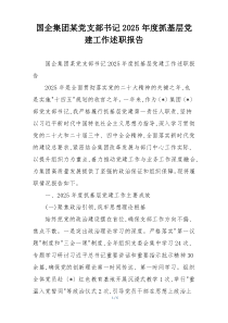 国企集团某党支部书记2025年度抓基层党建工作述职报告