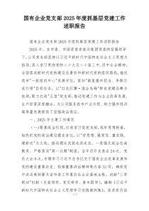 国有企业党支部2025年度抓基层党建工作述职报告