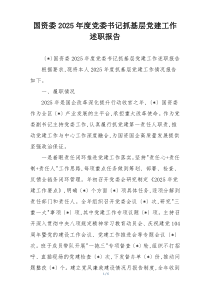 国资委2025年度党委书记抓基层党建工作述职报告