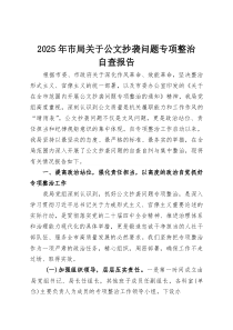 2025年市局关于公文抄袭问题专项整治自查报告(整理)