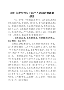 2025年度县领导干部个人述职述德述廉报告(整理)