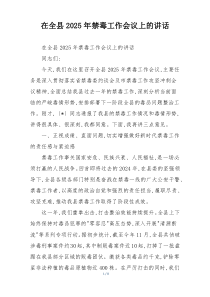 在全县2025年禁毒工作会议上的讲话