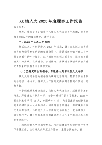 XX镇人大2025年度履职工作报告(整理)