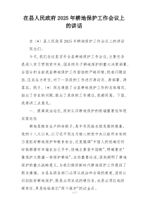 在县人民政府2025年耕地保护工作会议上的讲话
