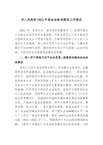 市人民政府20XX年度法治政府建设工作情况