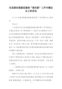 在县委加强基层基础“强双基”工作专题会议上的讲话