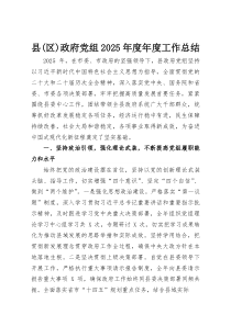 县（区）政府党组2025年度年度工作总结(整理)