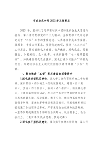 市农业农村局20XX年工作要点