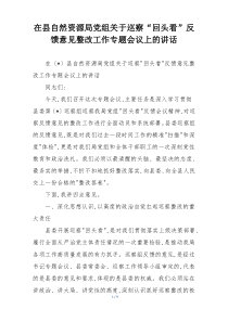 在县自然资源局党组关于巡察“回头看”反馈意见整改工作专题会议上的讲话
