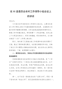在XX县委员会农村工作领导小组会议上的讲话(整理)