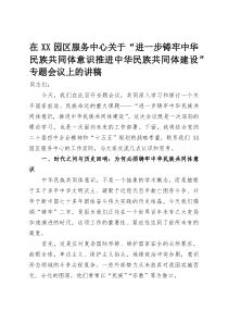 在XX园区服务中心关于“进一步铸牢中华民族共同体意识推进中华民族共同体建设”专题会议上的讲稿(整理)