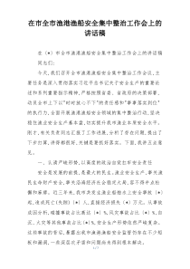 在市全市渔港渔船安全集中整治工作会上的讲话稿