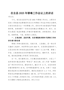 在全县2025年禁毒工作会议上的讲话(整理)