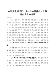 审计局党组书记、局长在审计整改工作推进会议上的讲话(整理)