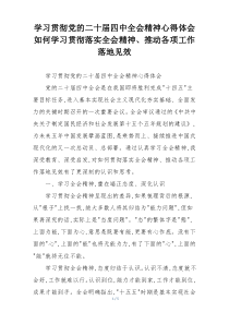 学习贯彻党的二十届四中全会精神心得体会如何学习贯彻落实全会精神、推动各项工作落地见效