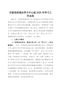 市委党校理论学习中心组2025年学习工作总结(整理)