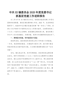 2025年度党委书记抓基层党建工作述职报告(素材)