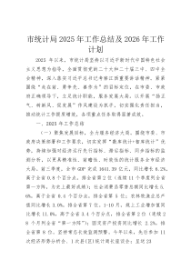 市统计局2025年工作总结及2026年工作计划(整理)
