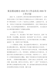 某县委巡察办2025年工作总结及2026年工作计划(整理)