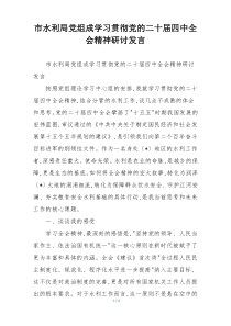 市水利局党组成学习贯彻党的二十届四中全会精神研讨发言