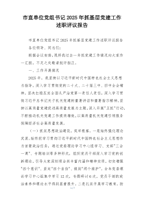 市直单位党组书记2025年抓基层党建工作述职评议报告