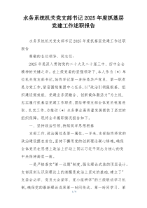 水务系统机关党支部书记2025年度抓基层党建工作述职报告