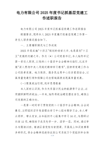 电力有限公司2025年度书记抓基层党建工作述职报告