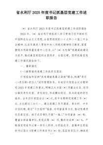 省水利厅2025年度书记抓基层党建工作述职报告
