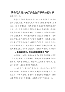 某公司负责人关于安全生产事故的检讨书(素材)