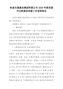 轨道交通建设集团有限公司2025年度党委书记抓基层党建工作述职报告