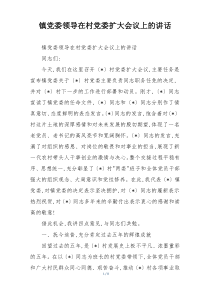 镇党委领导在村党委扩大会议上的讲话