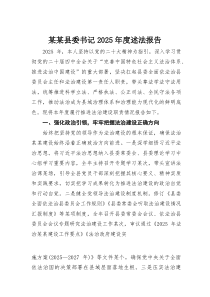 某某县委书记2025年度述法报告(素材)