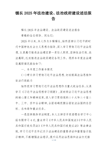 镇长2025年法治建设、法治政府建设述法报告