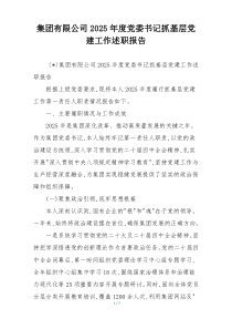 集团有限公司2025年度党委书记抓基层党建工作述职报告