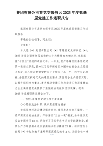 集团有限公司某党支部书记2025年度抓基层党建工作述职报告