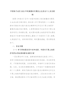 市委班子成员20XX年巡察整改专题民主生活会个人发言提纲