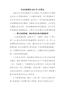 市应急管理局20XX年工作要点