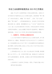 市总工会经费审查委员会20XX年工作要点