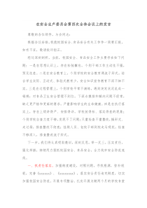 在安全生产委员会第四次全体会议上的发言