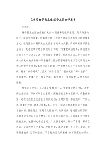 在市委班子民主生活会上的点评发言