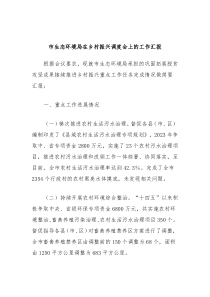 市生态环境局在乡村振兴调度会上的工作汇报