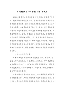 市自然资源局20XX年政务公开工作要点