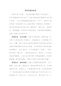 我的巡察初体验