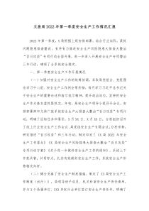 文旅局20XX年第一季度安全生产工作情况汇报