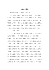 文旅工作汇报