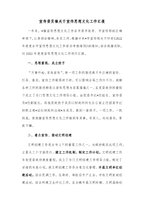 宣传委员镇关于宣传思想文化工作汇报