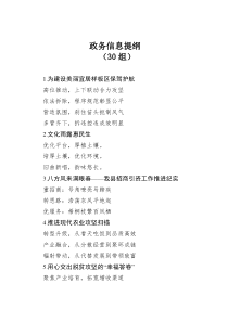 政务信息提纲30组