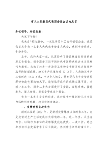 省人大代表在代表团全体会议的发言