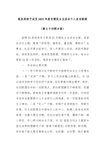 税务局班子成员20XX年度专题民主生活会个人发言提纲新6个对照方面