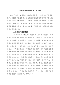 2025年上半年党支部工作总结最新5篇参考